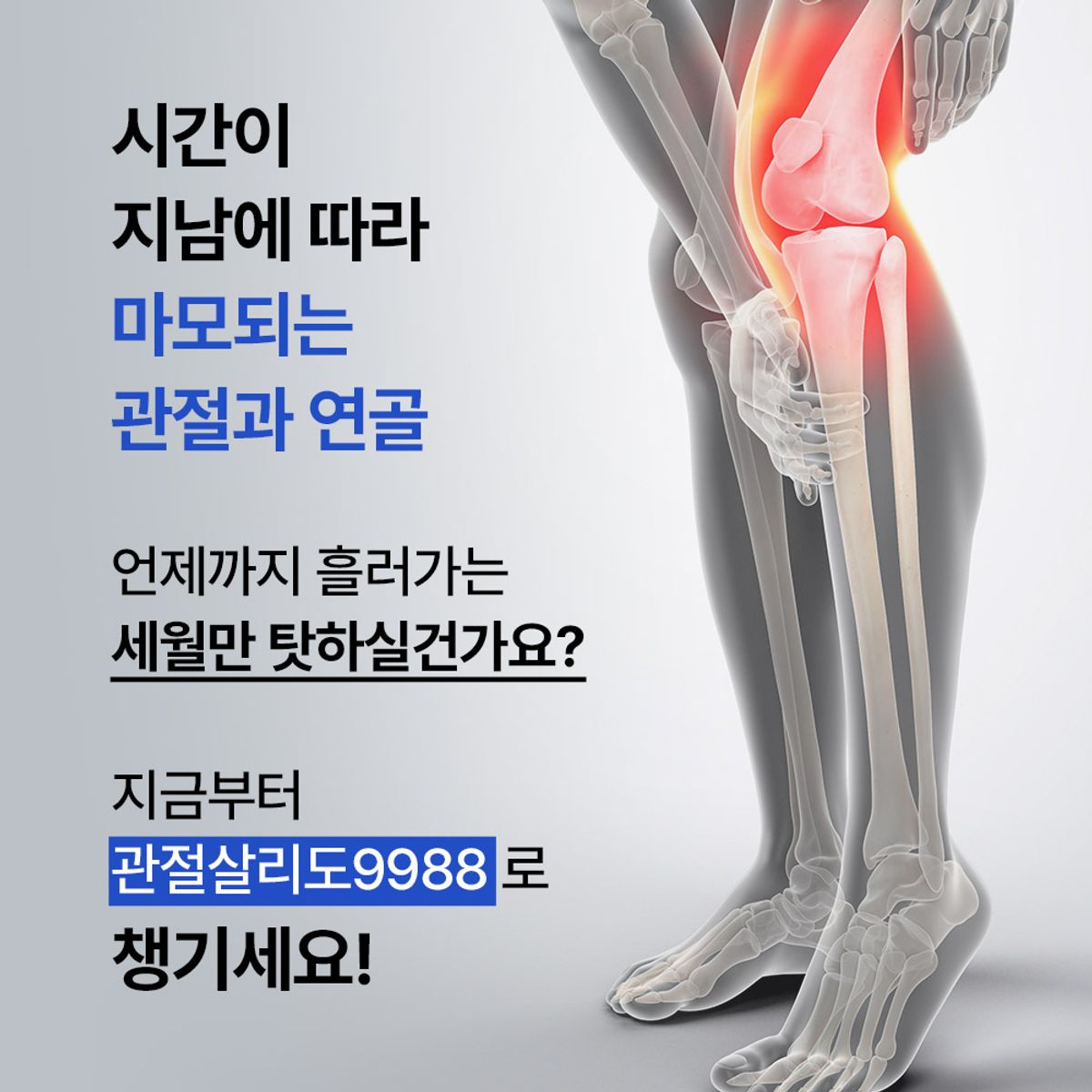 팜스빌(PHARMSVILLE) 관절살리도 9988 옵티 MSM 식이유황 6박스 3개월분