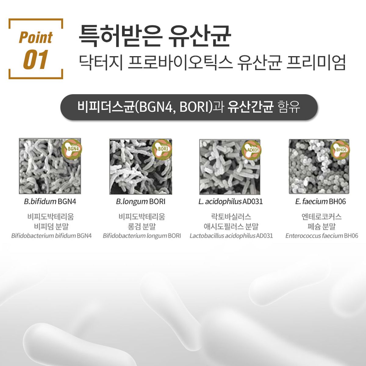 팜스빌(PHARMSVILLE) 닥터지 프로바이오틱스 프리미엄 유산균 1박스 1개월분