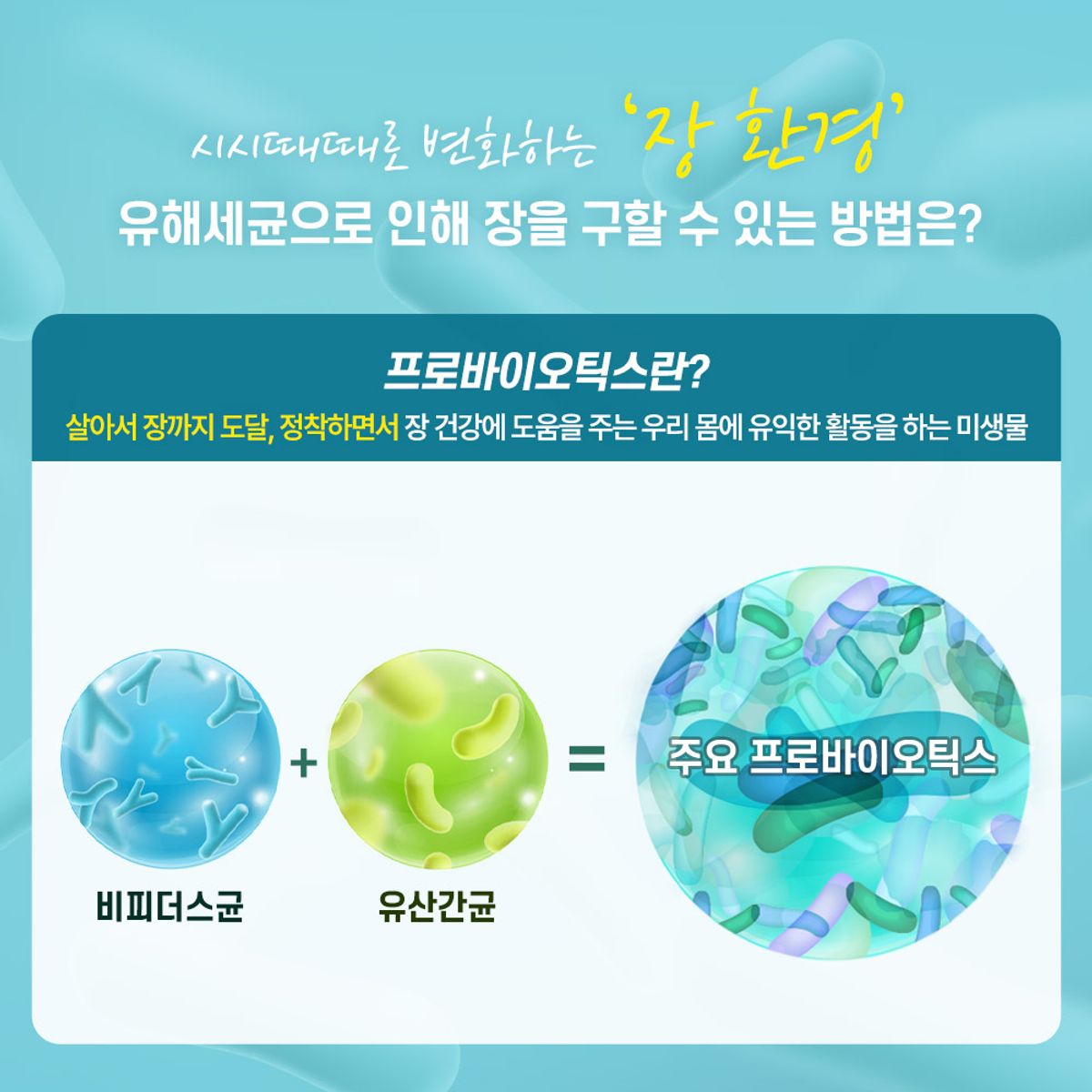 팜스빌(PHARMSVILLE) 닥터지 프로바이오틱스 프리미엄 유산균 2박스 2개월분