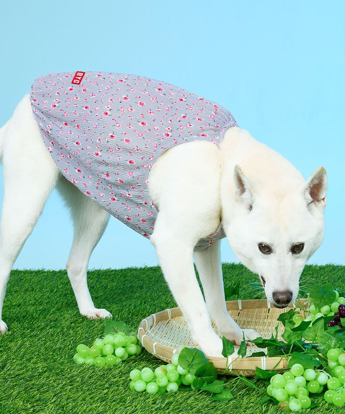 비와이씨(BYC) 개리야스 할매꽃나시