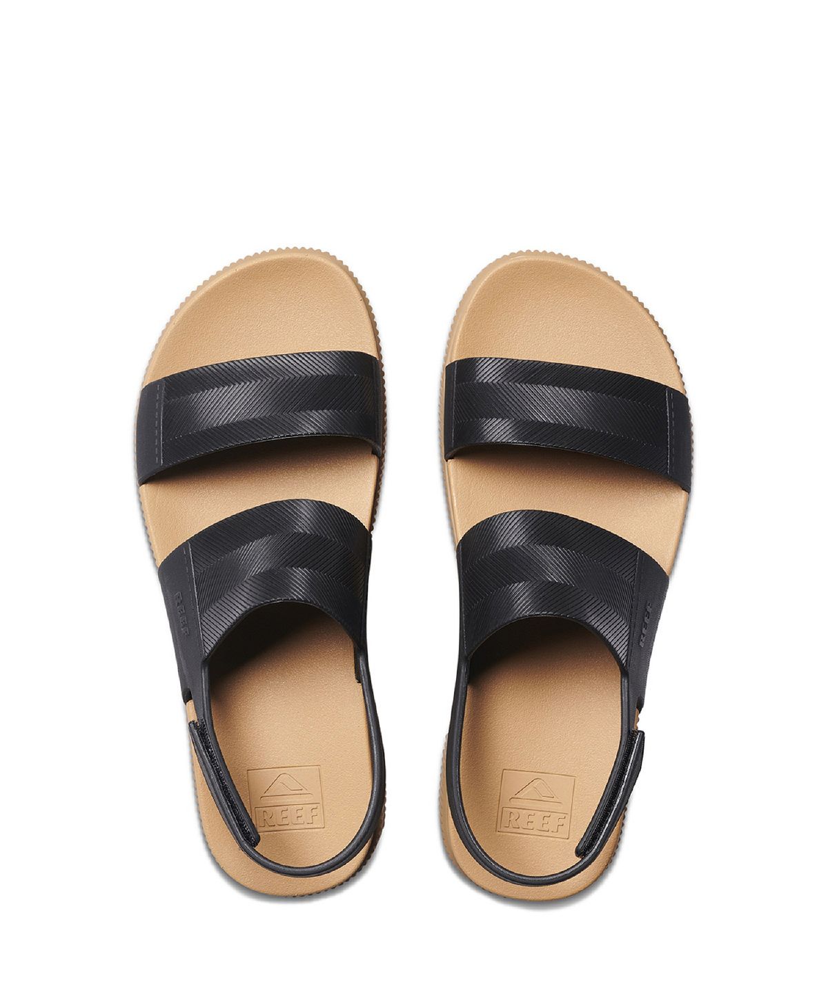 리프(REEF) 워터 비스타 하이어 (0096286) CJ4386-BLACK/TAN