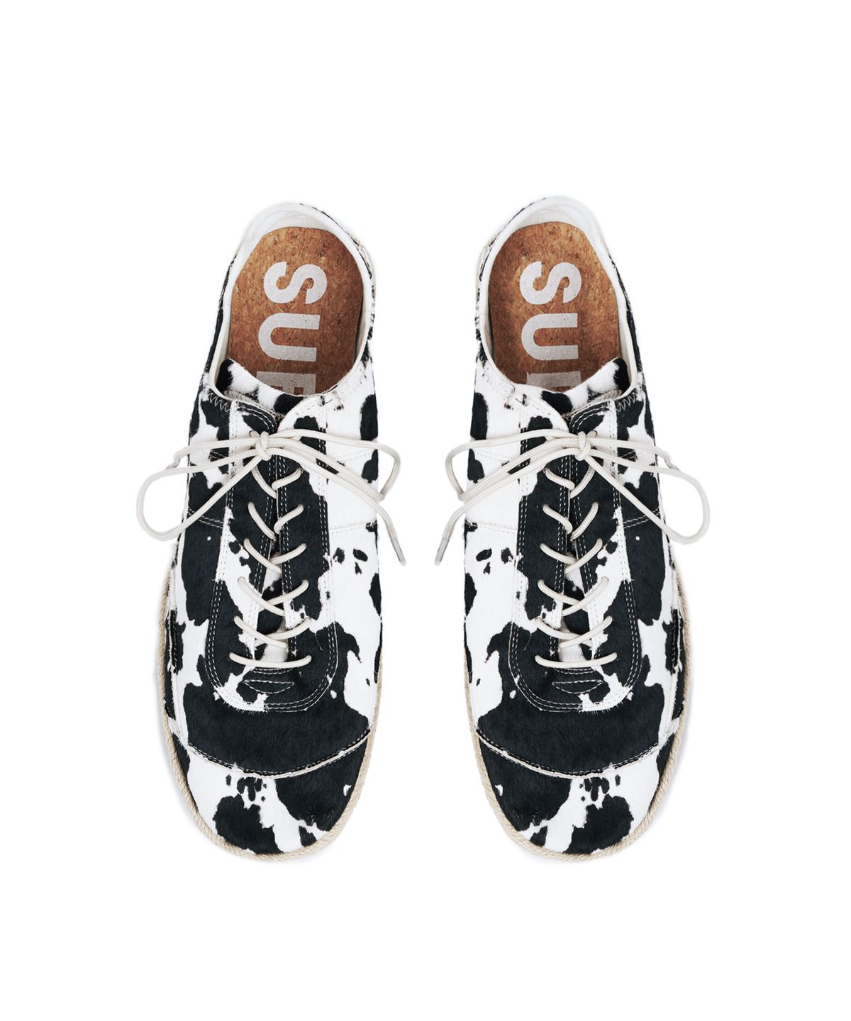 서브카테고리(SUBCATEGORY) SUB_F161 Dalmatian