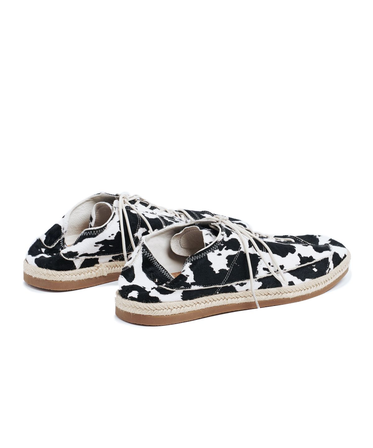 서브카테고리(SUBCATEGORY) SUB_F161 Dalmatian