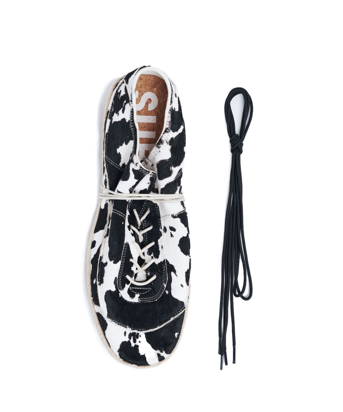 서브카테고리(SUBCATEGORY) SUB_F161 Dalmatian