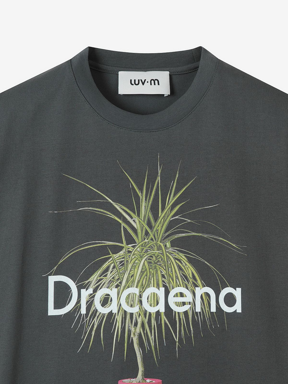 엘유브이엠(LUVM) DRACAENA PRINTING T-SHIRTS_DARK GRAY