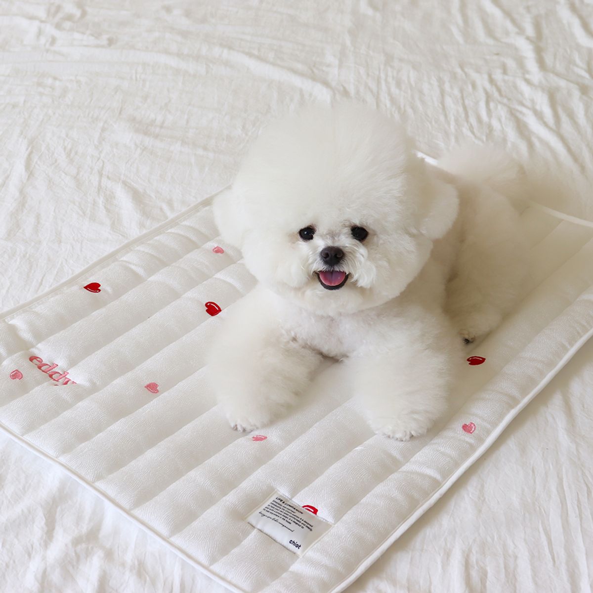 쉬오트(CHIOT) 리프레쉬 인견 쿨 매트 (5color)