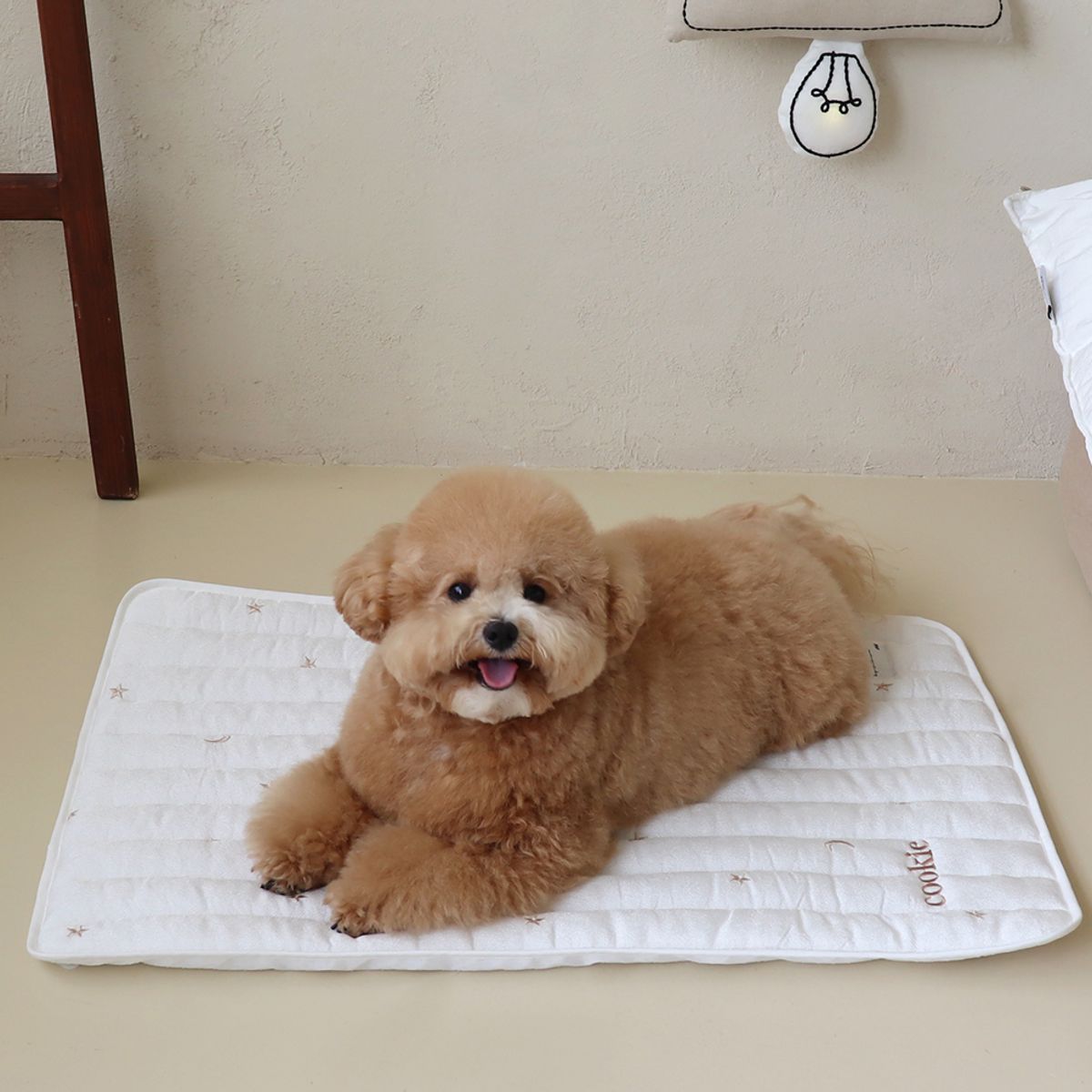 쉬오트(CHIOT) 리프레쉬 인견 쿨 매트 (5color)