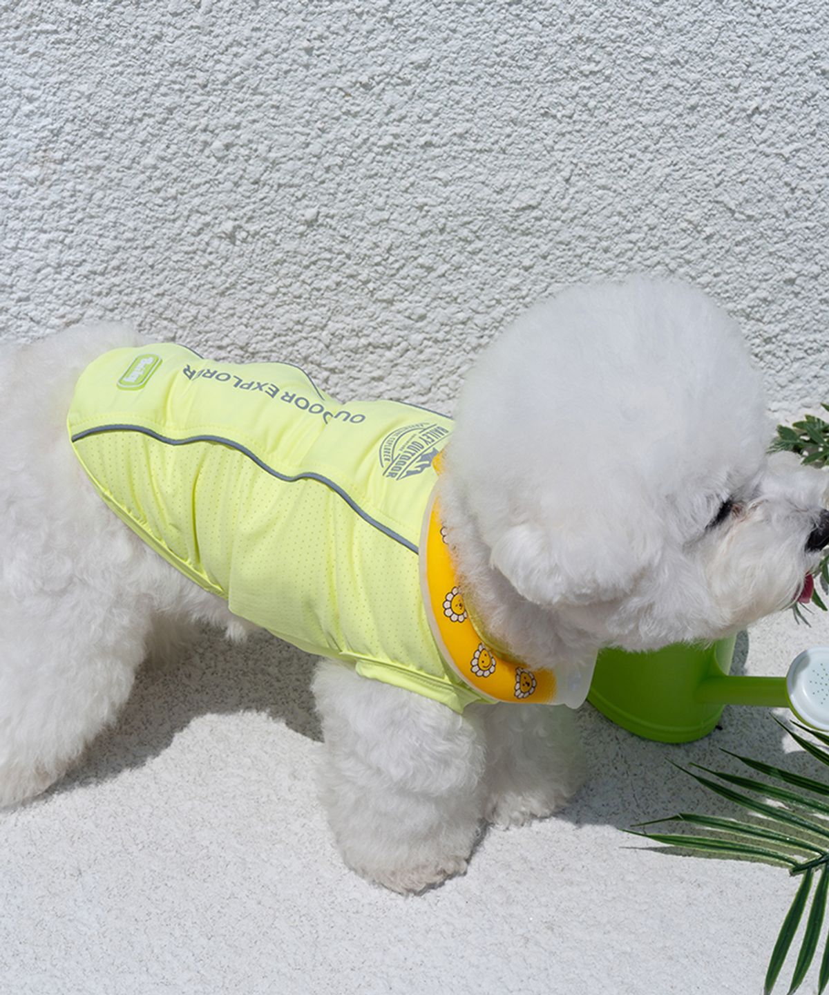 베일리(BAILEY) 강아지 해충방지 UV쿨가드 라임