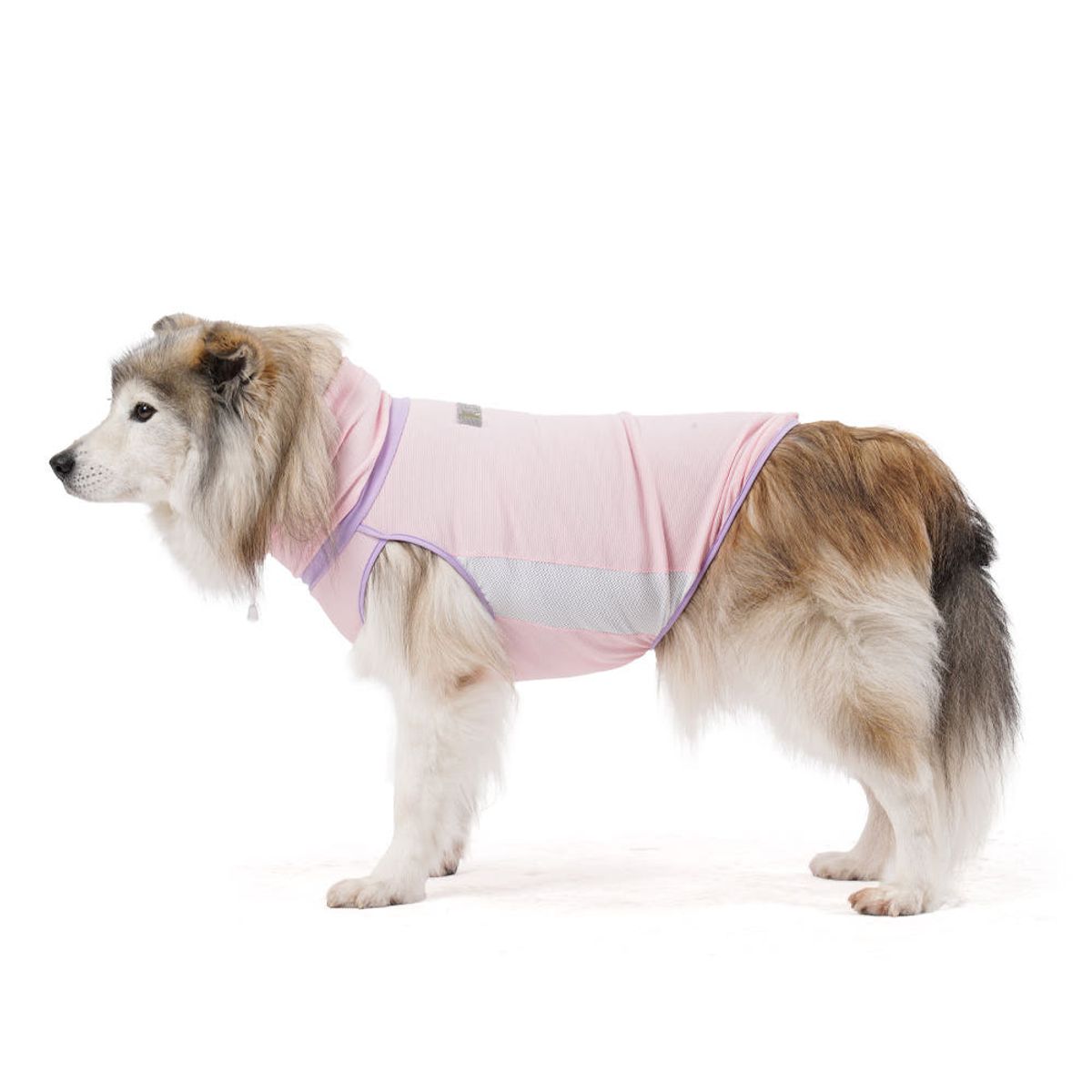 니즈더펫(NEEDS THE PET) 인터라켄 쿨피트웨어 베스트 강아지 쿨링 조끼