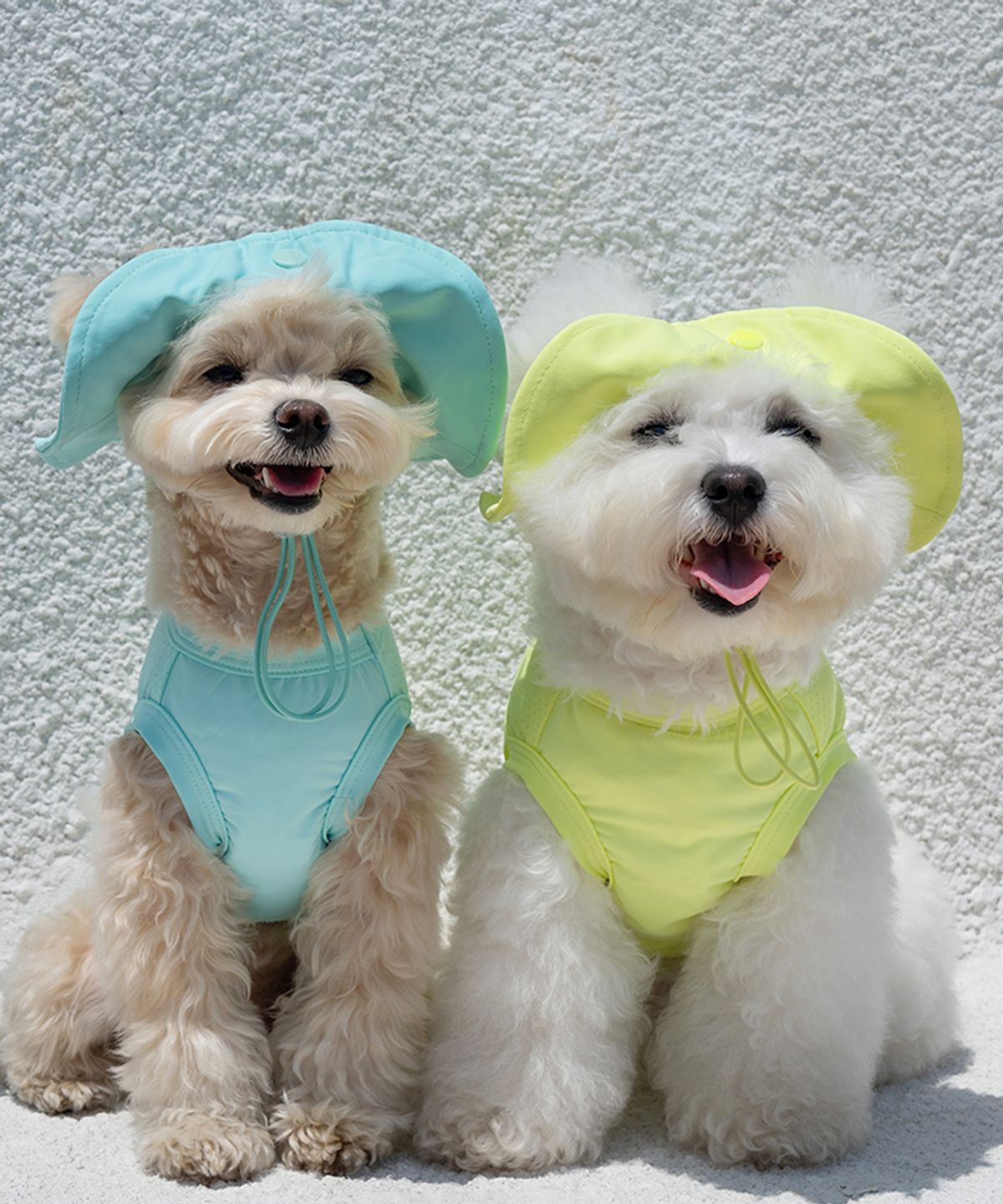 베일리(BAILEY) 강아지모자 UV쿨링캡 민트
