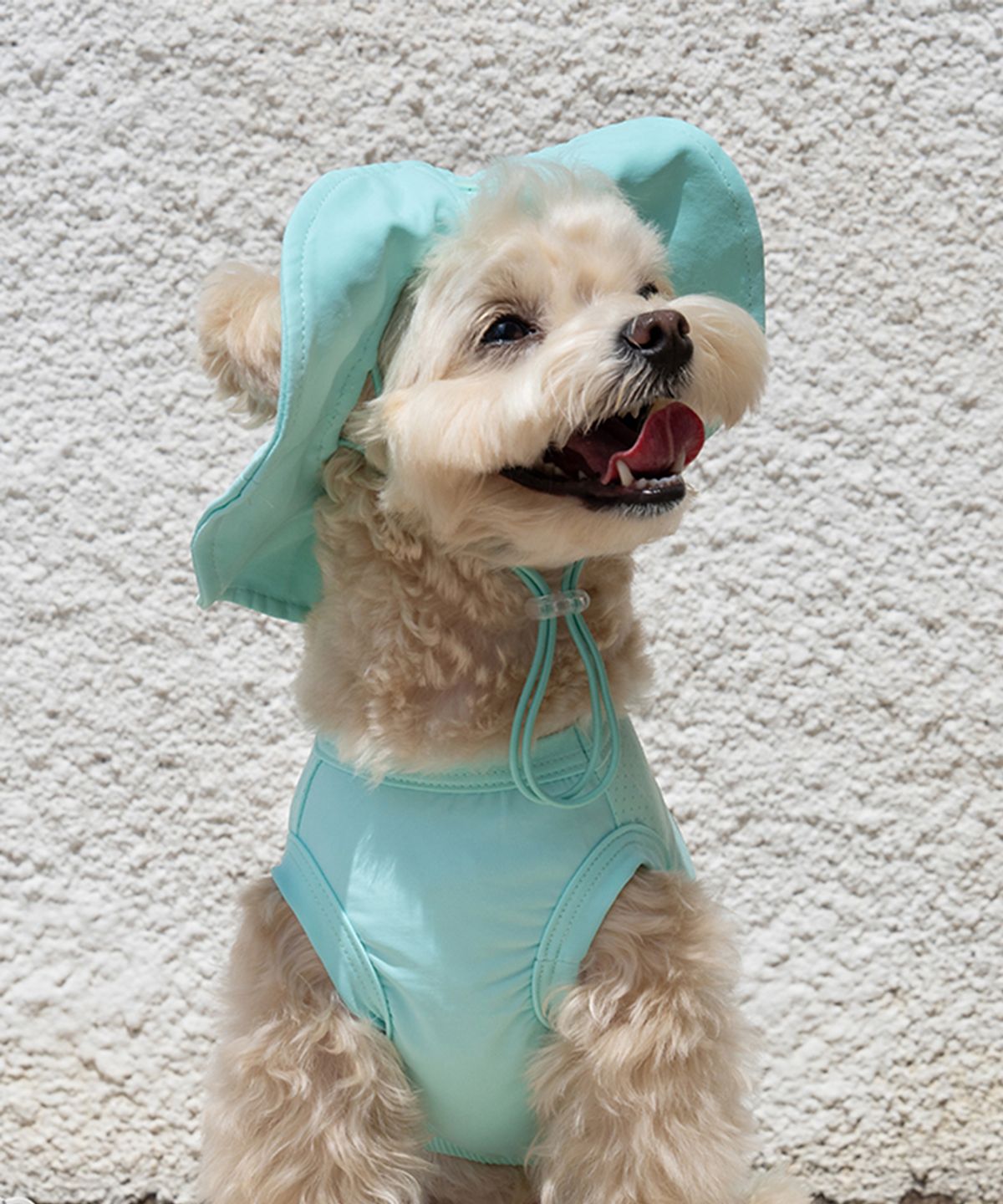 베일리(BAILEY) 강아지모자 UV쿨링캡 민트