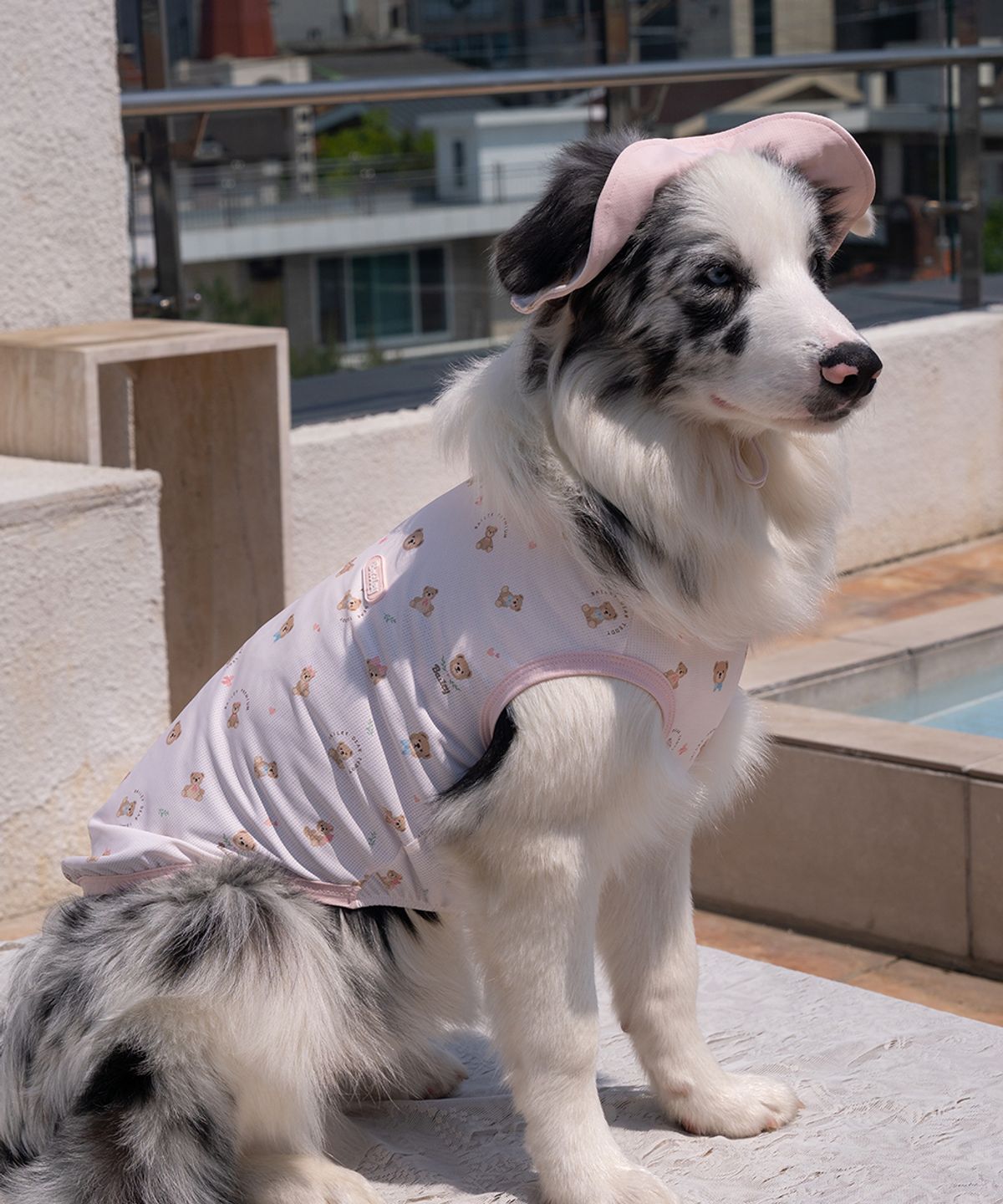 베일리(BAILEY) 강아지모자 쿨링테디캡 핑크