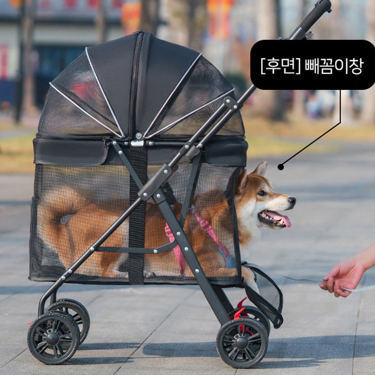 개과천선(GAEKWACHEONSUN) 네트라 강아지 유모차
