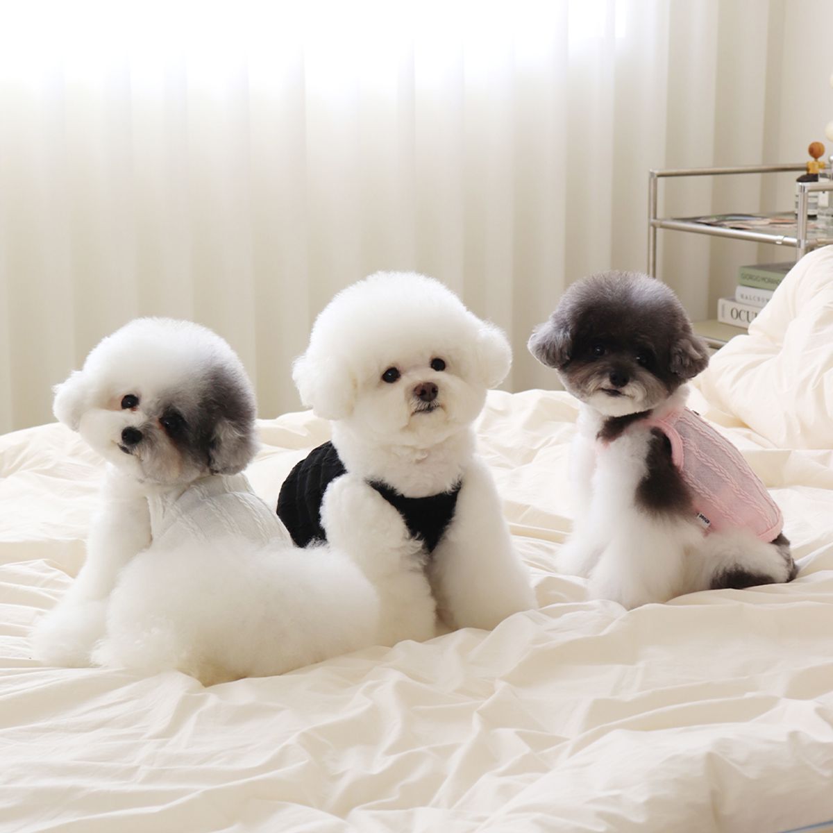 쉬오트(CHIOT) 쉬오트 뮤즈 니트 탑 (크림)