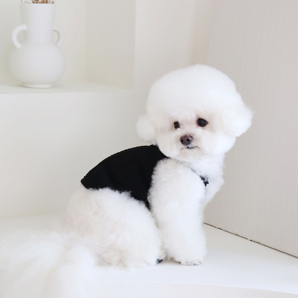 쉬오트(CHIOT) 쉬오트 뮤즈 니트 탑 (블랙)