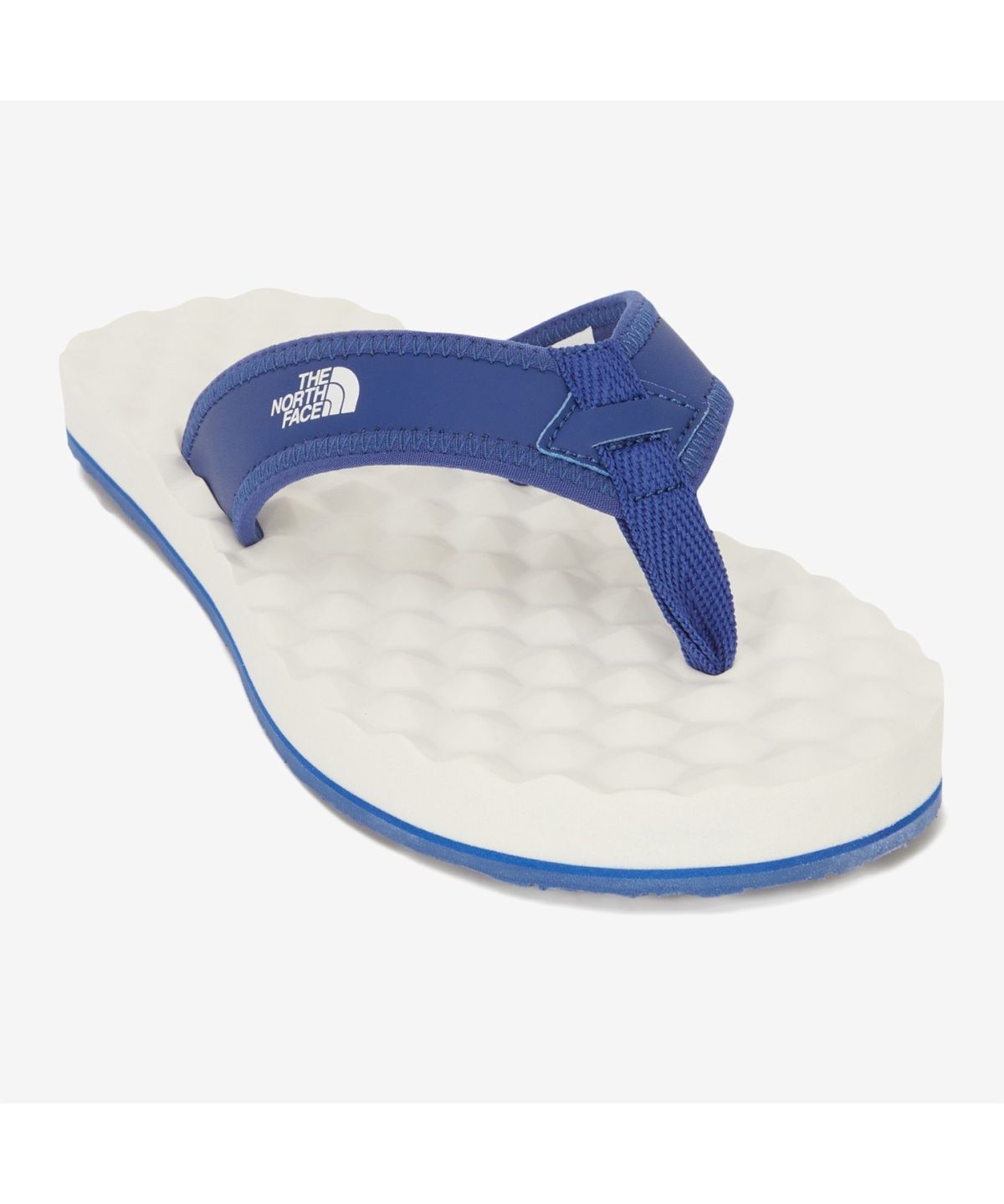 노스페이스(THE NORTH FACE) NS83R16C 베이스 캠프 플립 EX COBALT_BLUE