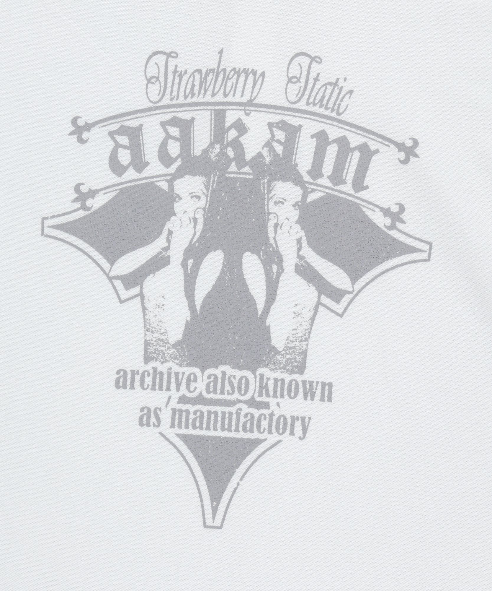 ポロシャツ AAKAM Crack Printed PK T-Shirts 5SH062 MUSINSA公式 | AAKAM Crack Printed PK T-Shirts (White)