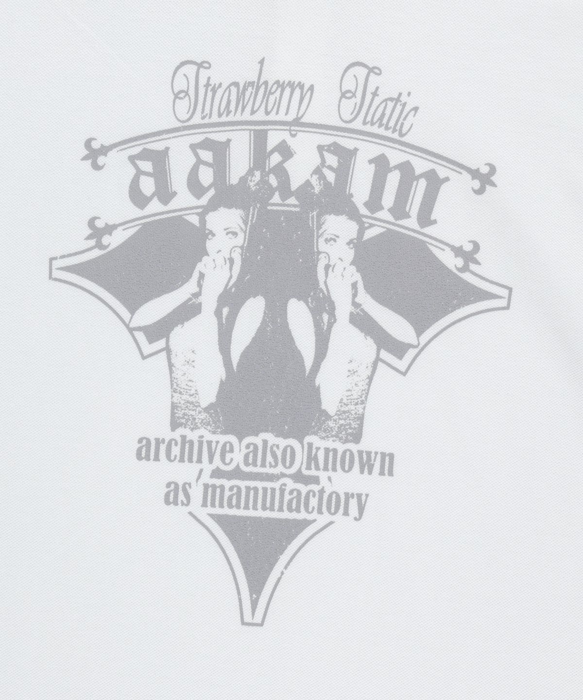 아캄(AAKAM) Crack Printed PK T-Shirts (White)