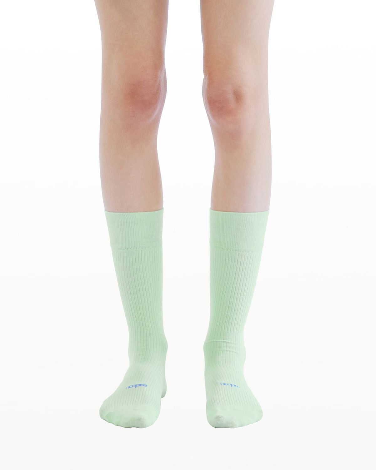 후포(HOOPOE) everyday sheer socks_2 colors