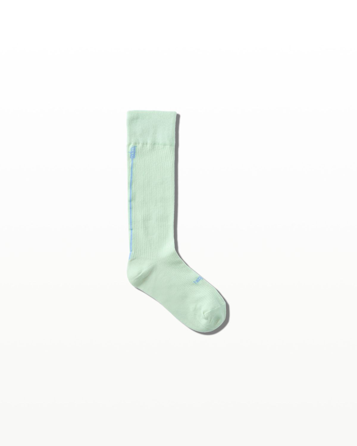 후포(HOOPOE) everyday sheer socks_2 colors