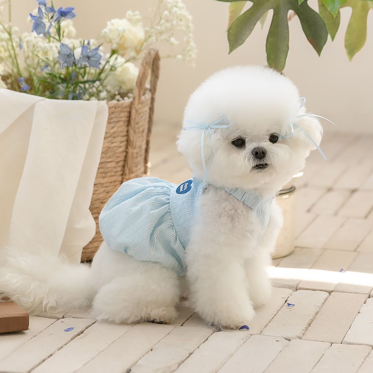 펫츠랜드(PETSLAND) 마르떼원피스 S-2XL