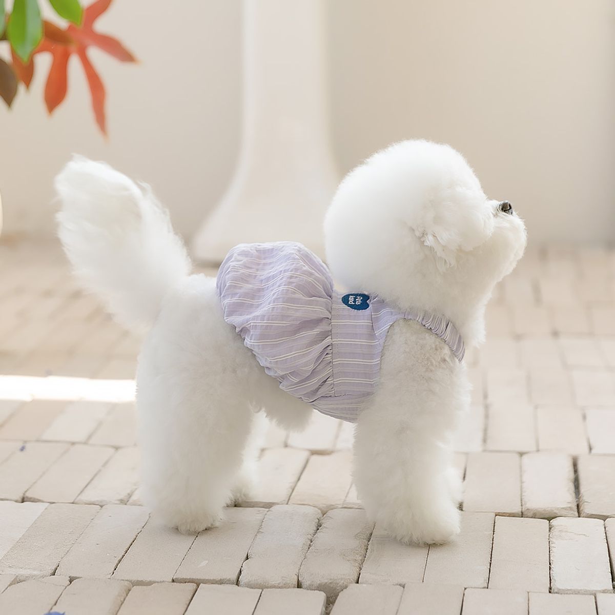 펫츠랜드(PETSLAND) 마르떼원피스 S-2XL