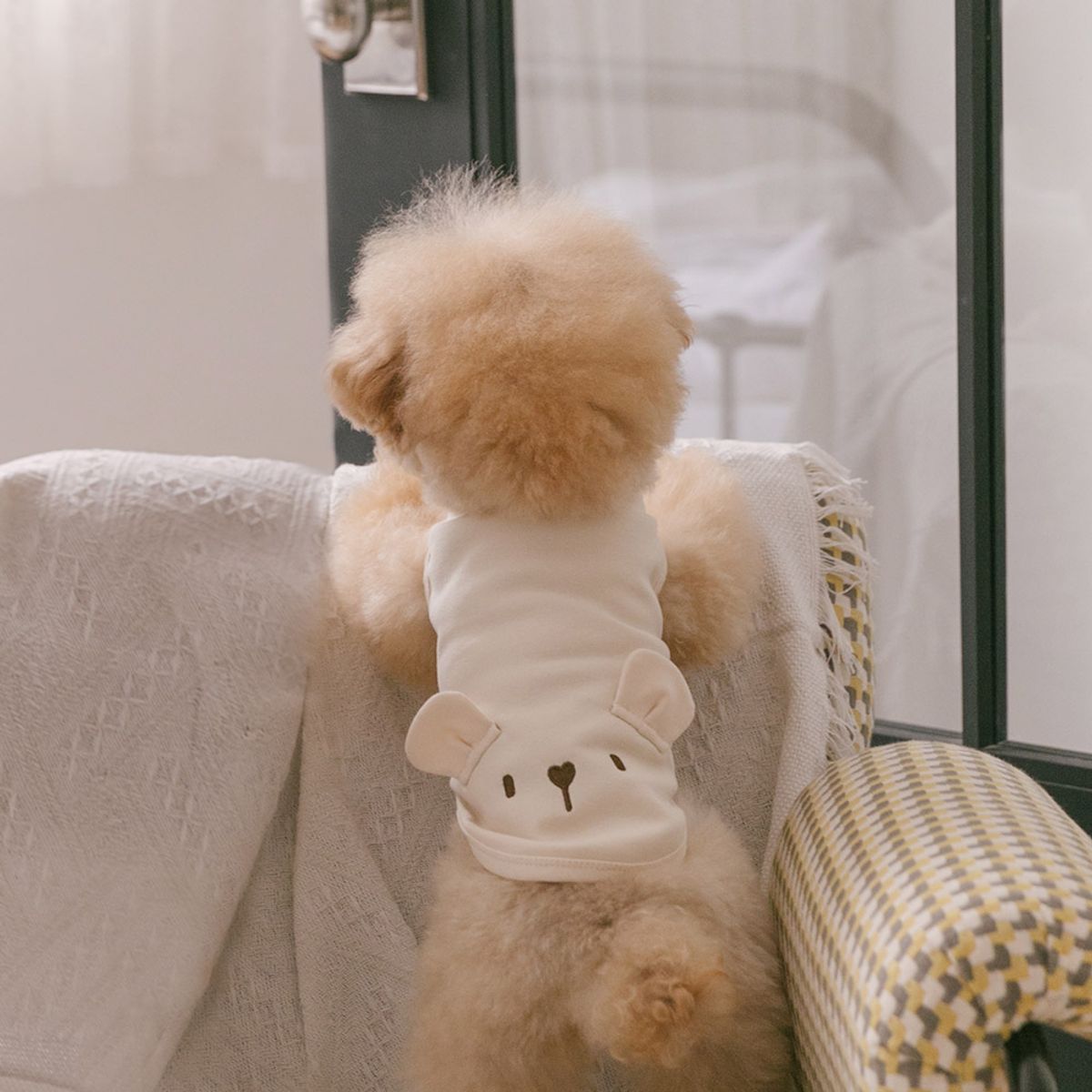펫츠랜드(PETSLAND) 아임베어 티셔츠 강아지옷 S-2XL