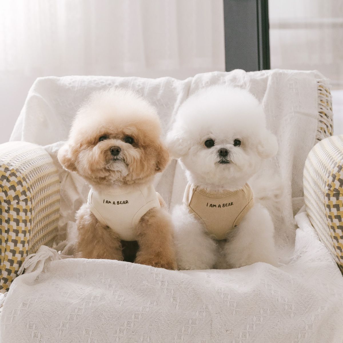 펫츠랜드(PETSLAND) 아임베어 티셔츠 강아지옷 S-2XL