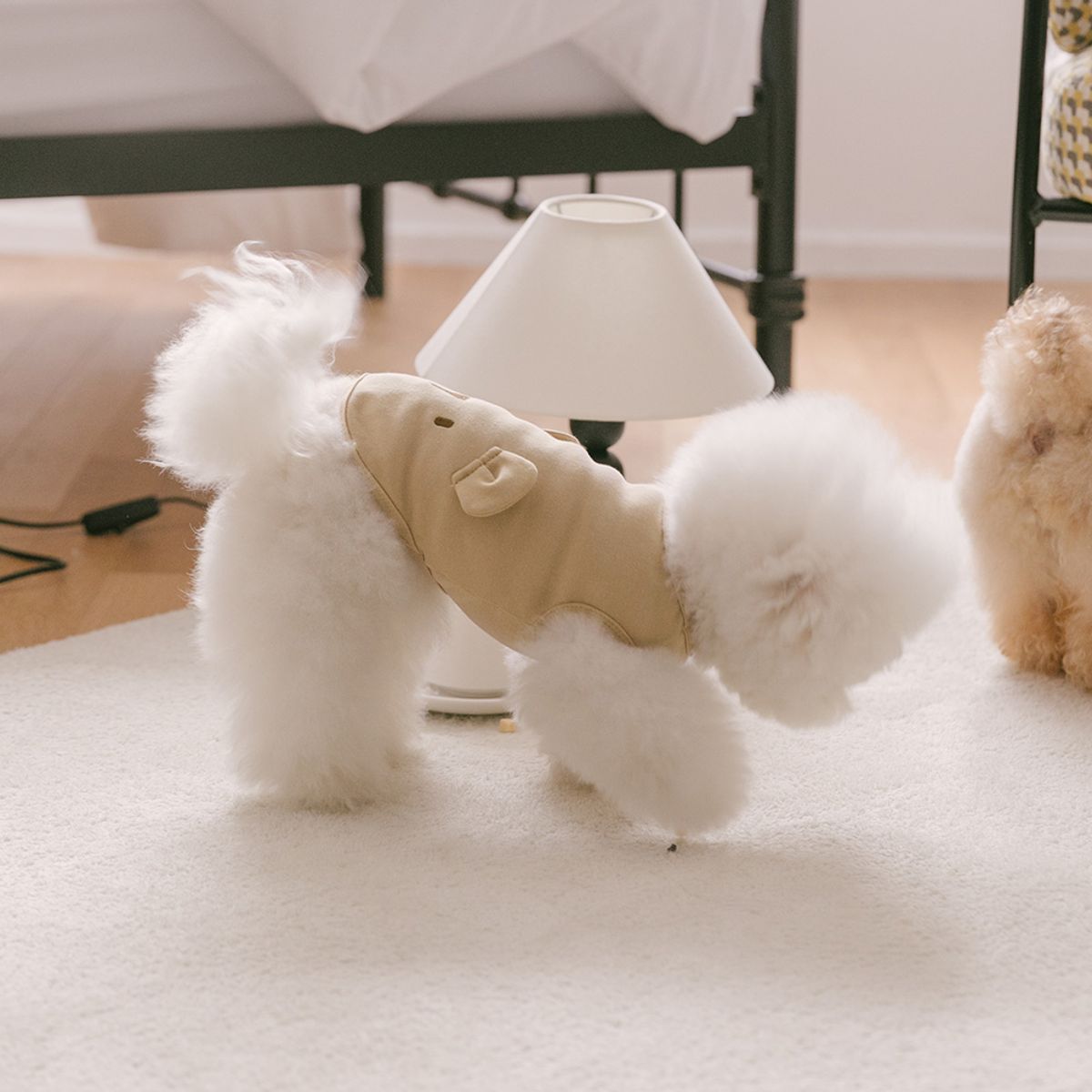 펫츠랜드(PETSLAND) 아임베어 티셔츠 강아지옷 S-2XL