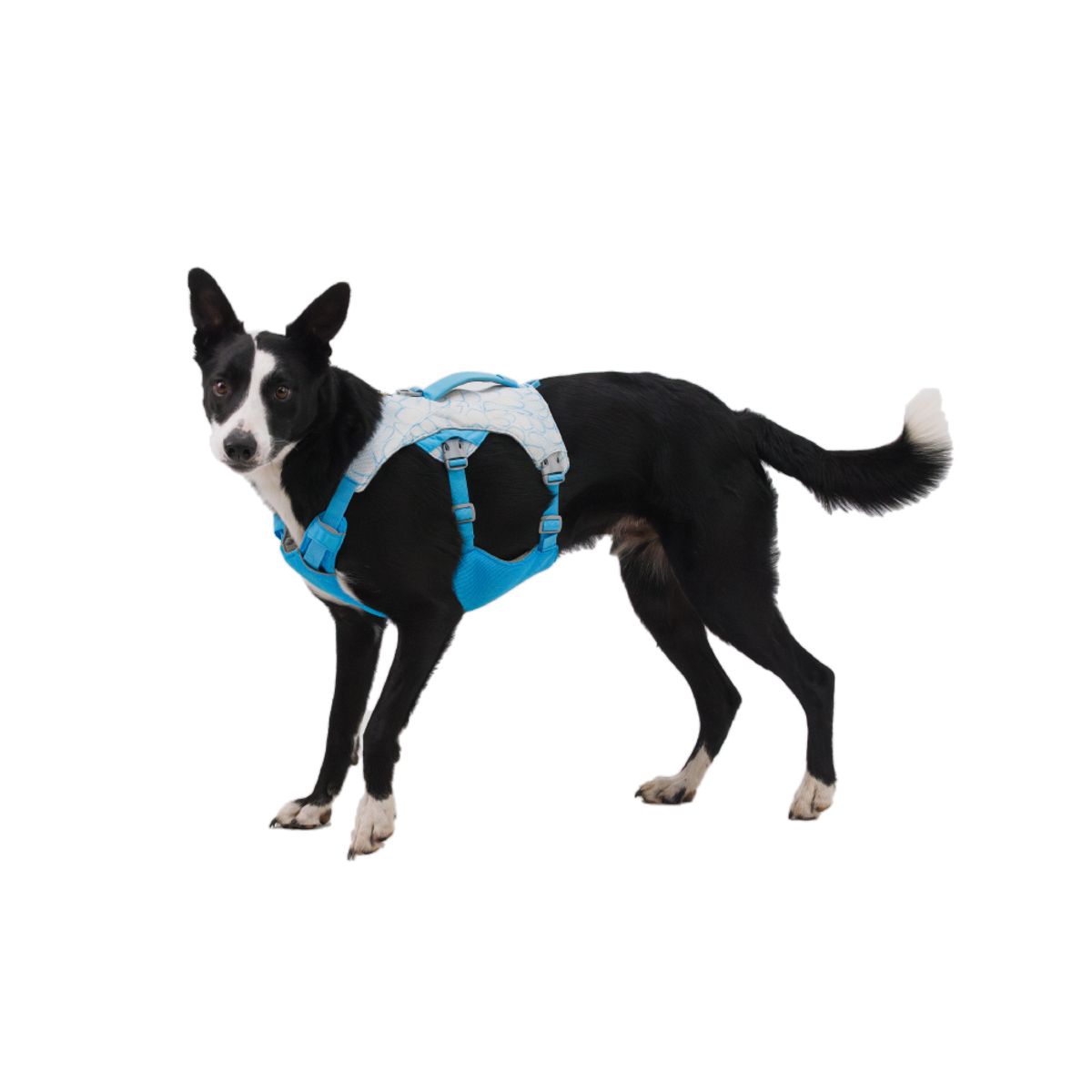 러프웨어(RUFFWEAR) 스왐프 쿨러 쿨링 하네스(Swamp Cooler™ Harness)