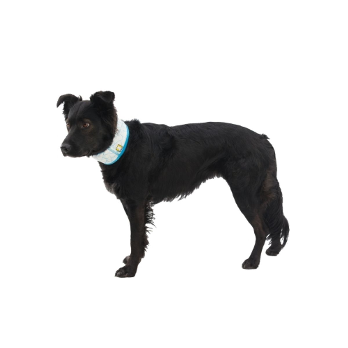 러프웨어(RUFFWEAR) 스왐프 쿨러 쿨링 양면 넥 게이터(2025SS)(Swamp Cooler™ Neck Gaiter)