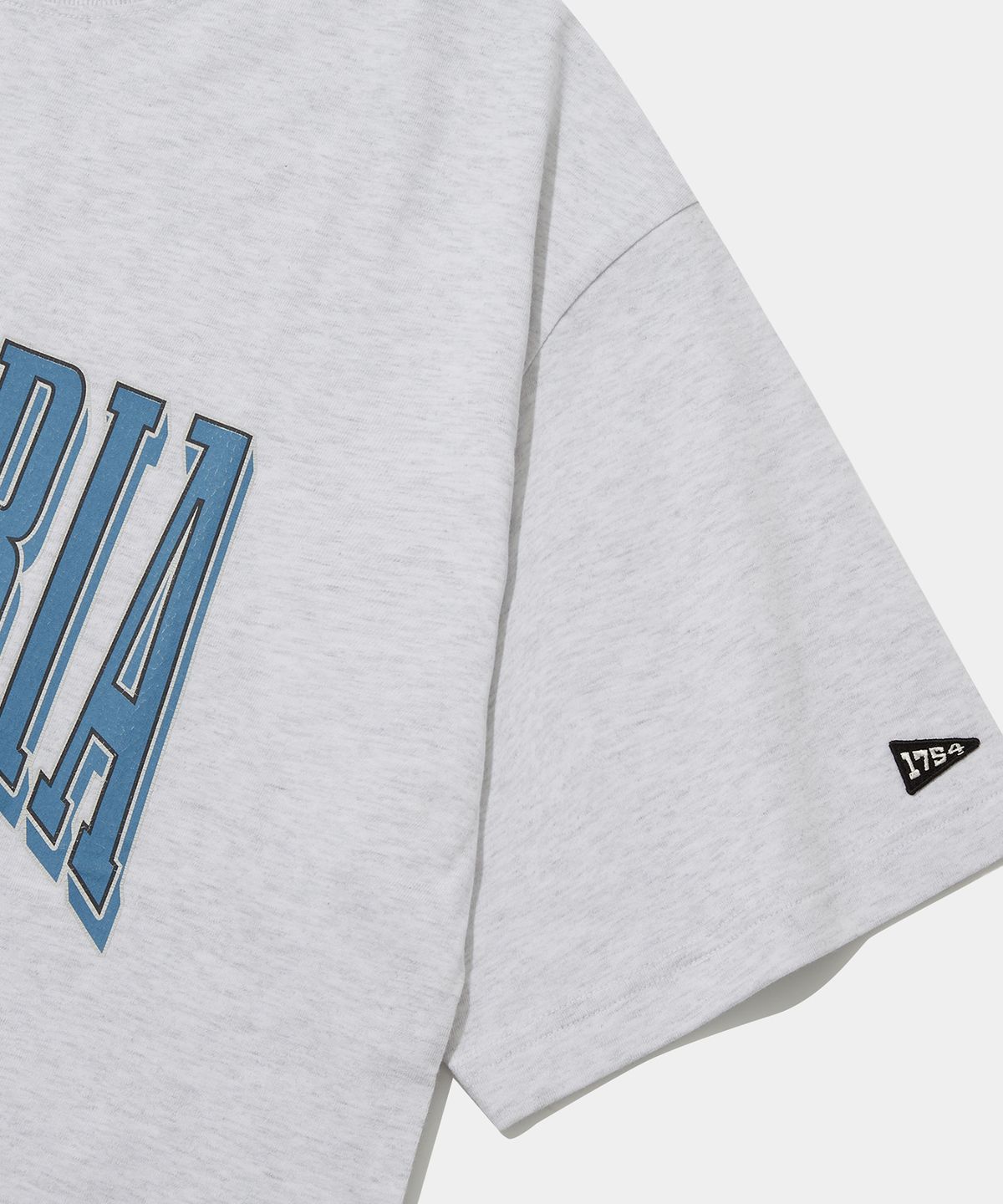 컬럼비아 유니버시티(COLUMBIA UNIVERSITY) VTG CRACK LOGO S/S T-SHIRTS LIGHT MELANGE