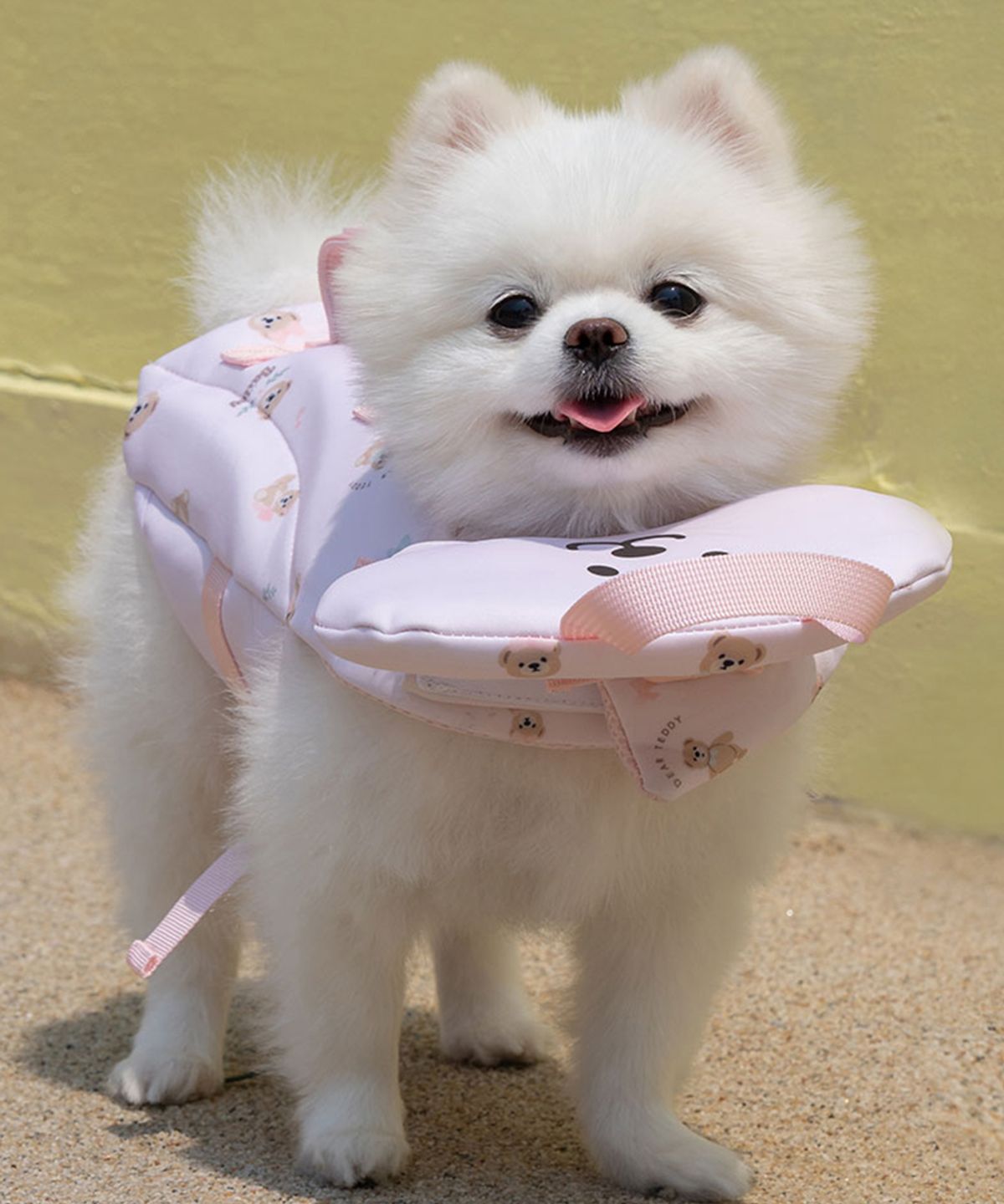 베일리(BAILEY) 강아지 수영복 테디 구명조끼 핑크