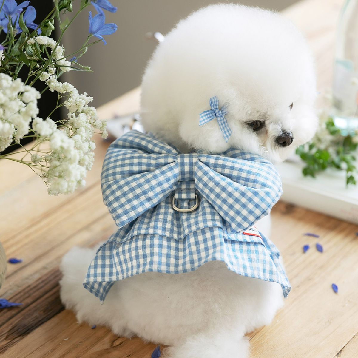 펫츠랜드(PETSLAND) 리보네하네스 S-L
