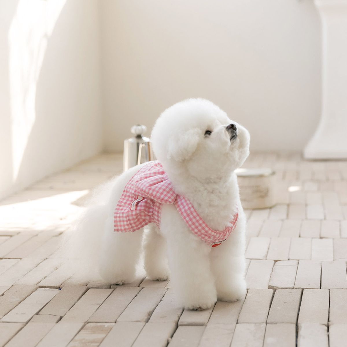 펫츠랜드(PETSLAND) 리보네하네스 S-L