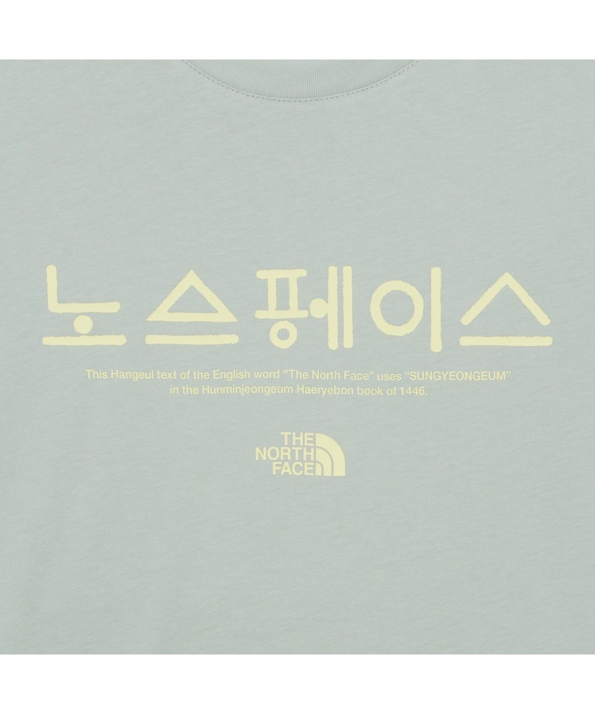노스페이스(THE NORTH FACE) NT7UR59E TNF 한글 반팔 라운드티 JADE