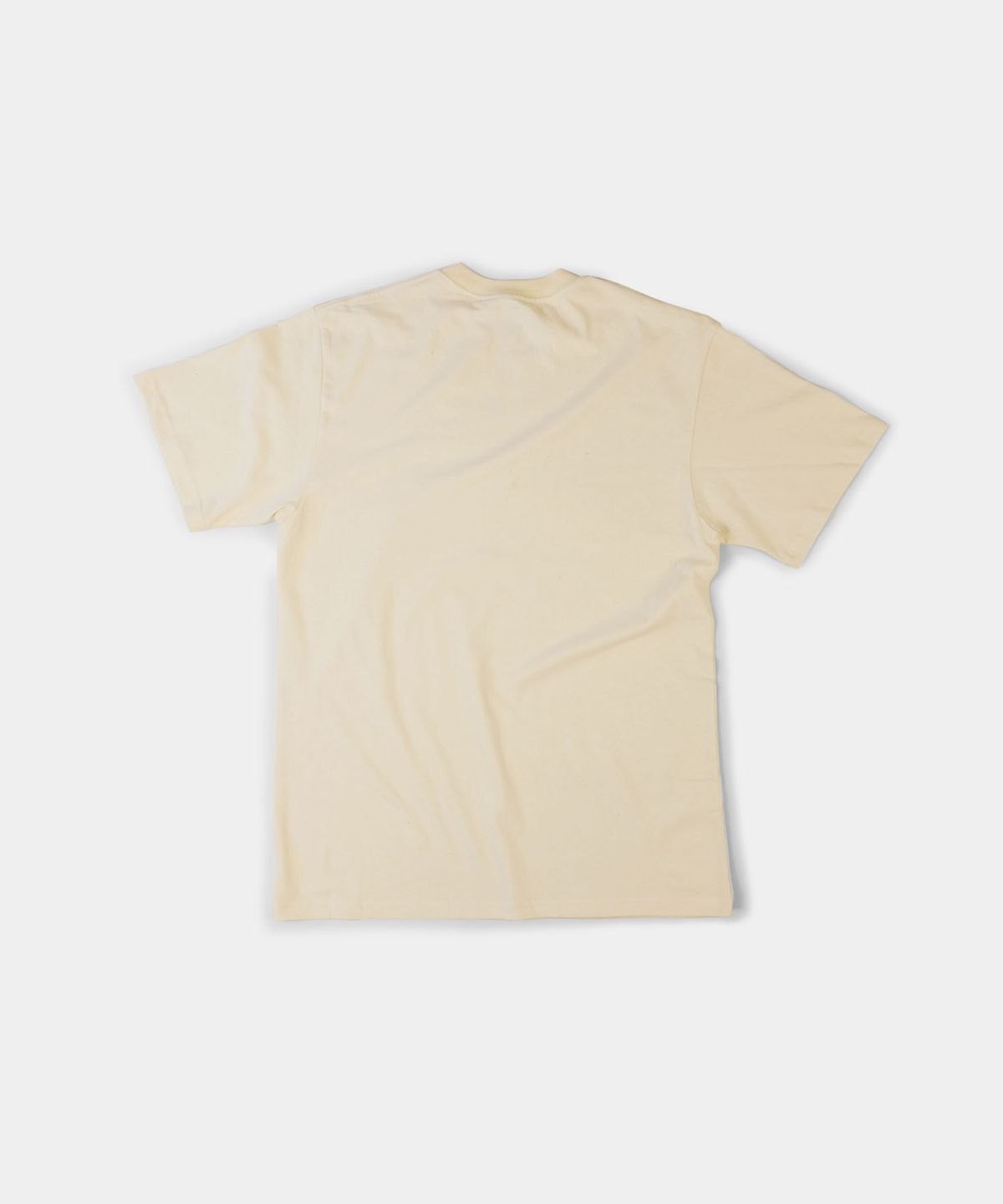 페셰(PESCE) 白(백) : SALTWATER NV