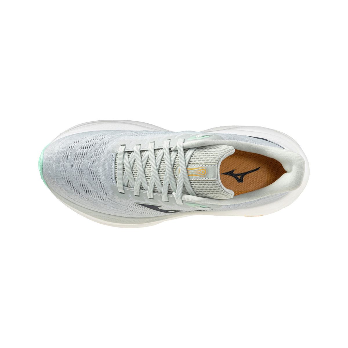 미즈노(MIZUNO) WAVE SKY 9 SW (W)_J1GD2512