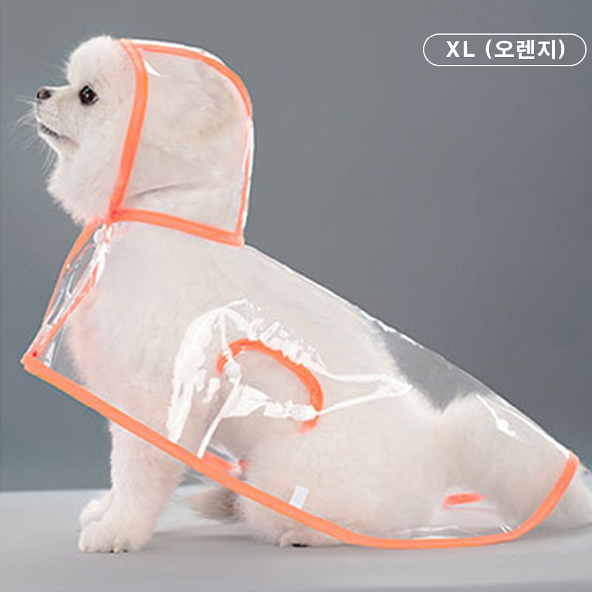 개과천선(GAEKWACHEONSUN) 버블 클리어 강아지 우비