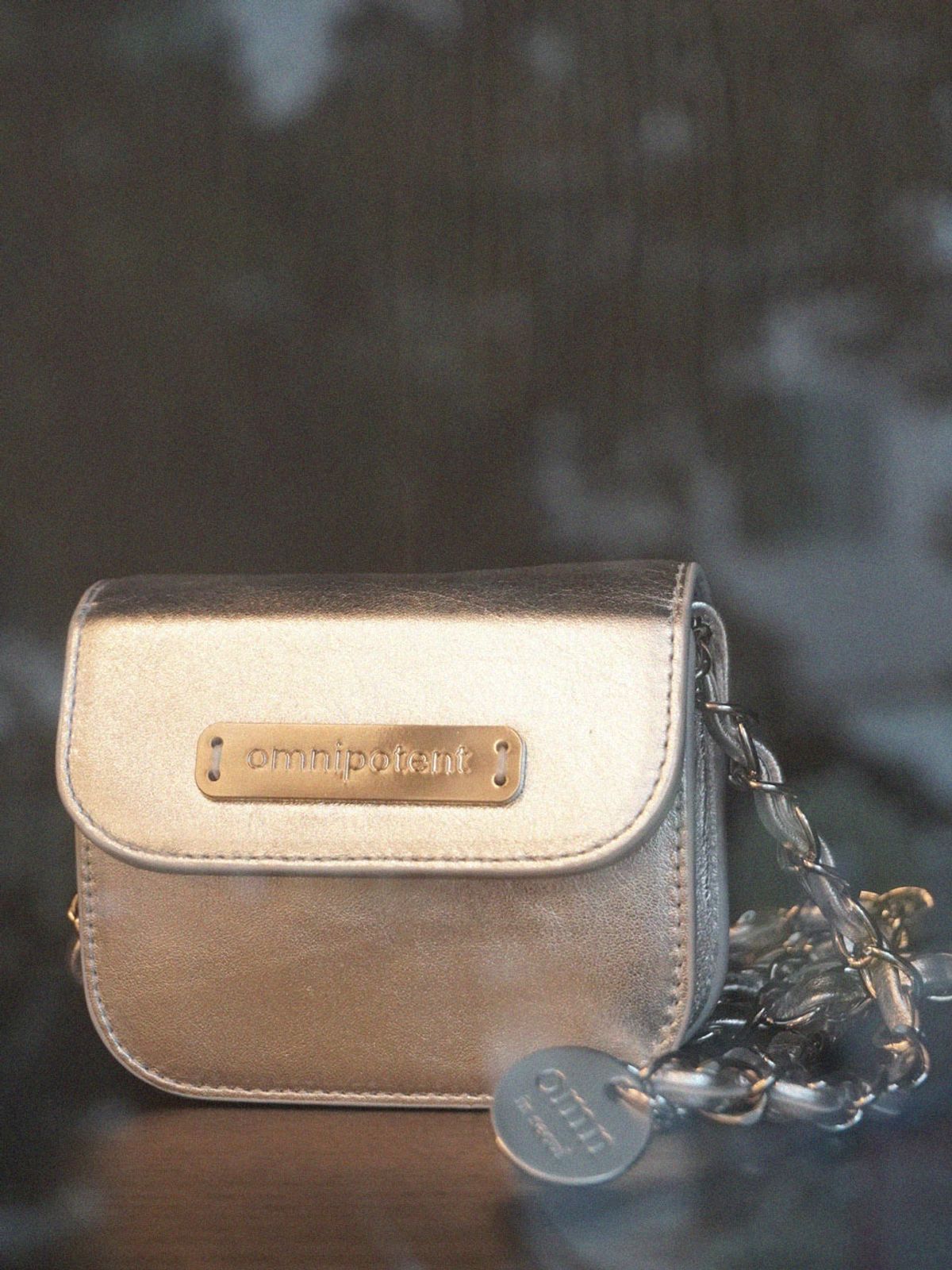 옴니포턴트(OMNIPOTENT) [Leather chain ver.] pin wallet bag _Silver