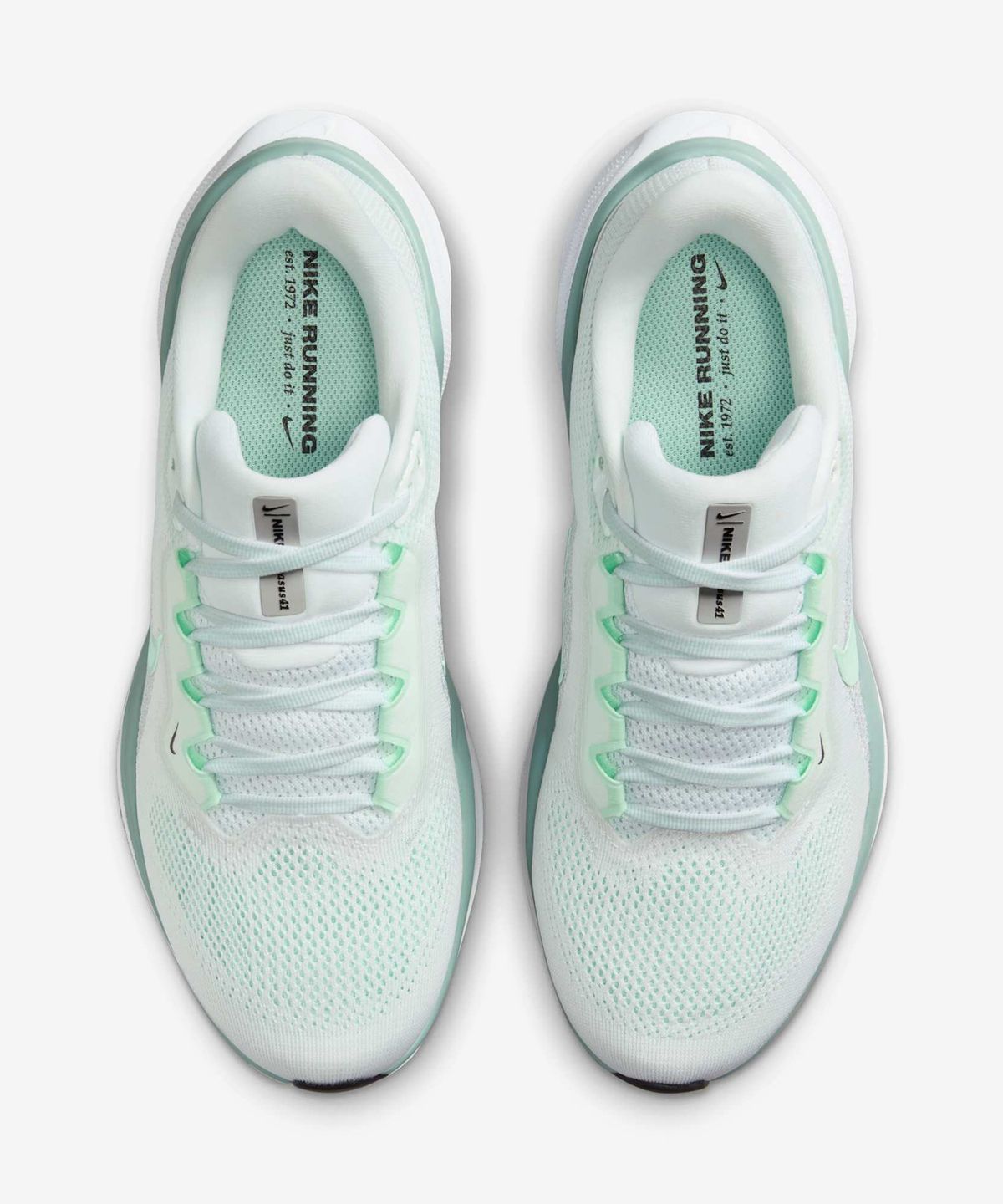 나이키(NIKE) 페가수스 41 W - 화이트:퓨어 플래티넘:캐넌:민트 폼 / FD2723-113