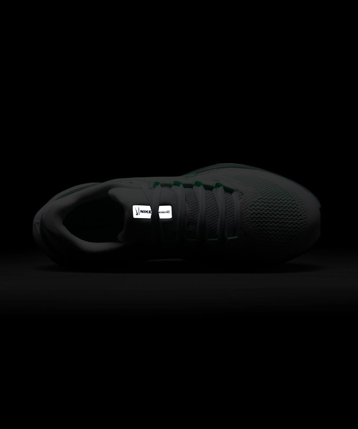 나이키(NIKE) 페가수스 41 W - 화이트:퓨어 플래티넘:캐넌:민트 폼 / FD2723-113