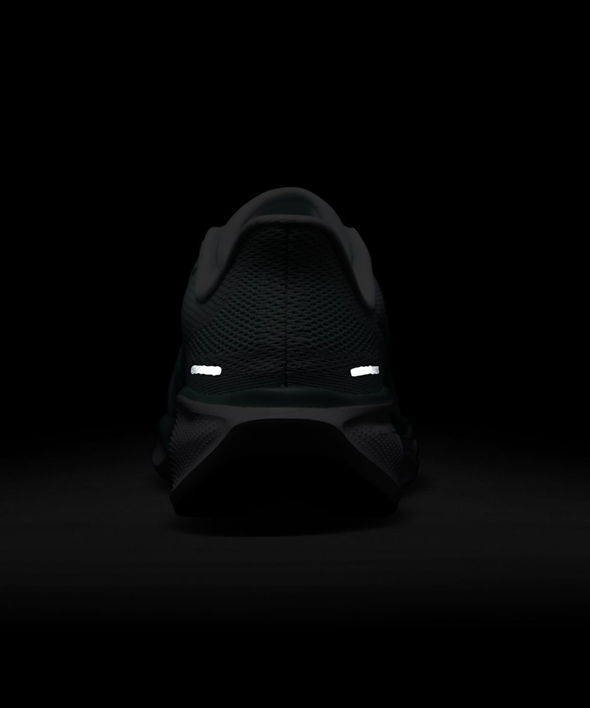 나이키(NIKE) 페가수스 41 W - 화이트:퓨어 플래티넘:캐넌:민트 폼 / FD2723-113