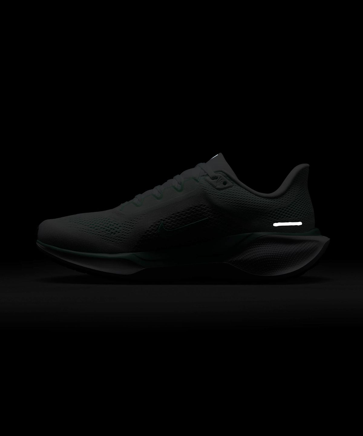 나이키(NIKE) 페가수스 41 W - 화이트:퓨어 플래티넘:캐넌:민트 폼 / FD2723-113
