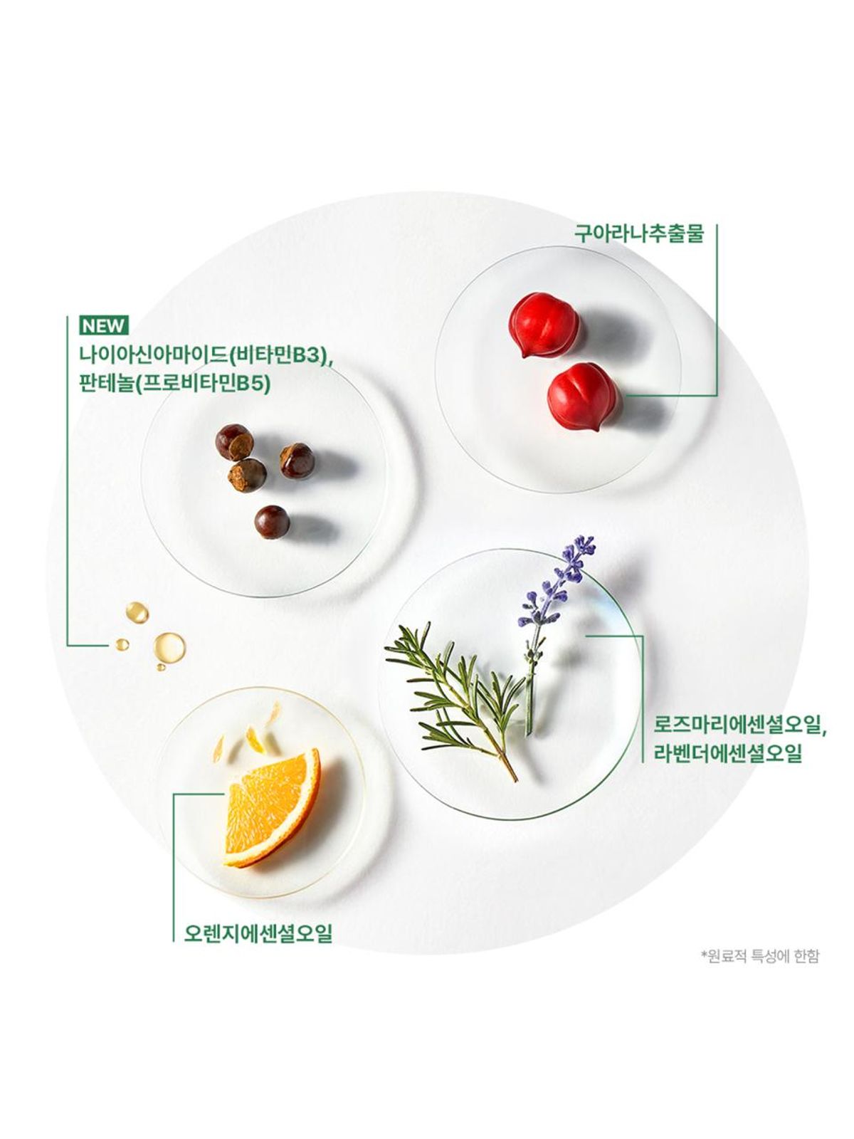 르네휘테르(RENE FURTERER) 포티샤 슈퍼볼륨 샴푸 200ml