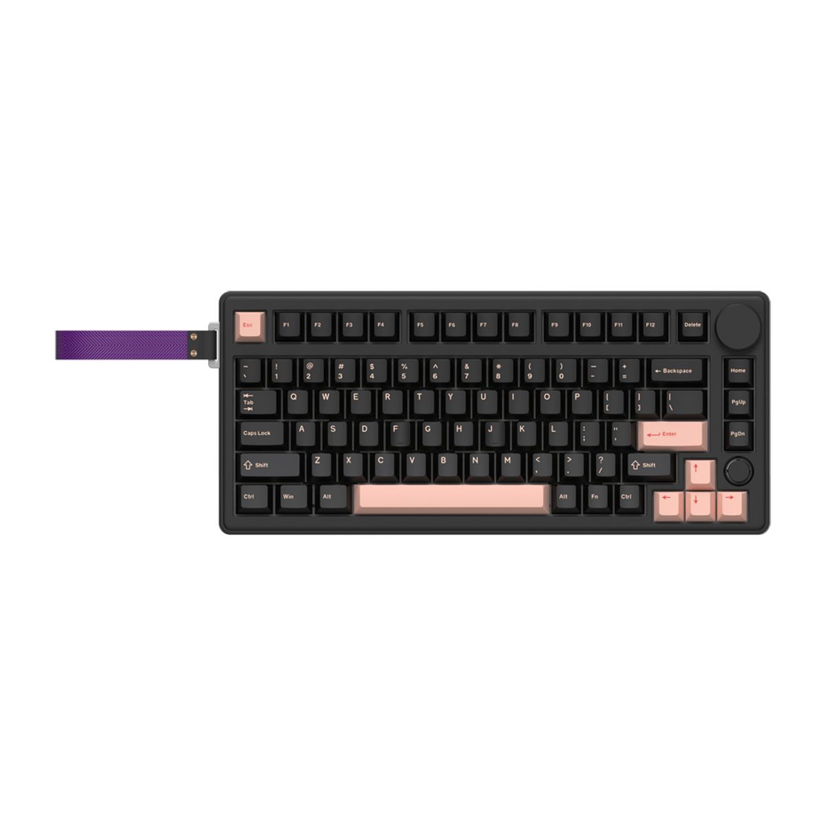 콕스(COX) CQK81 VIA 엣지 LED&노브 3MODE 유무선 기계식