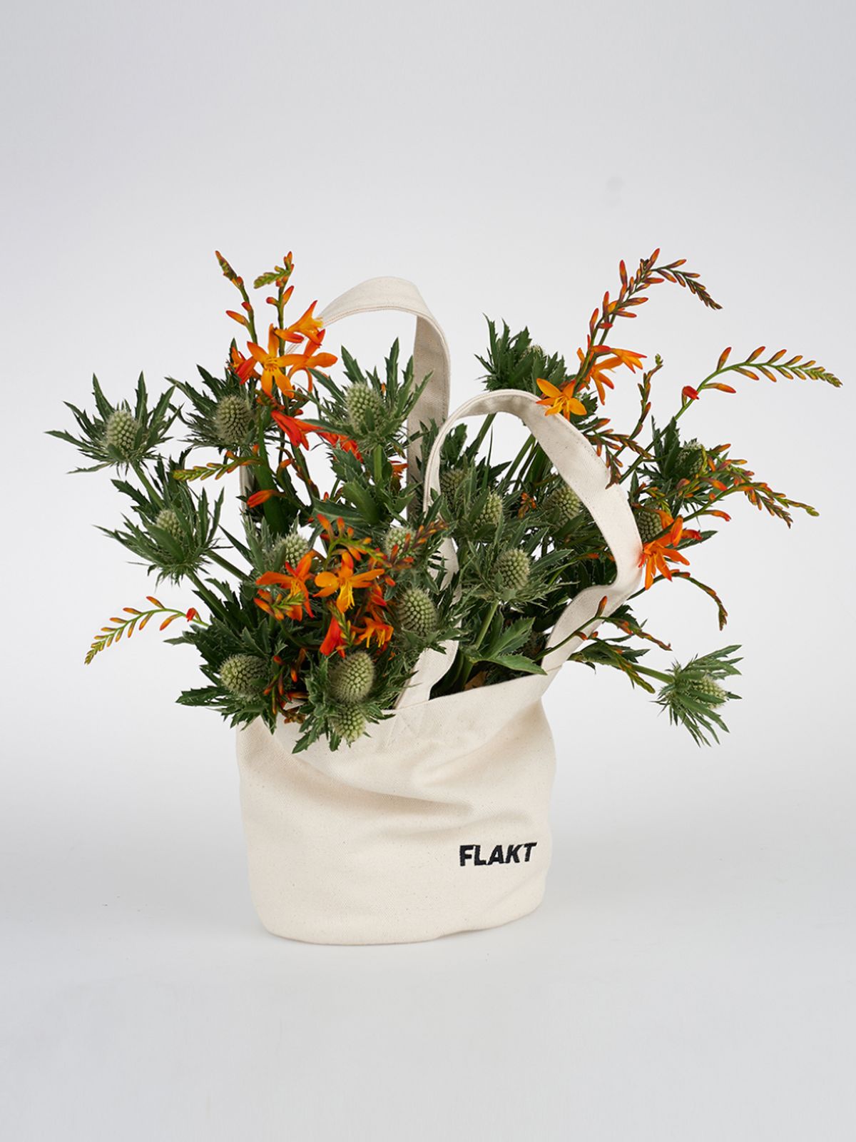 스튜디오 플렉트(STUDIO FLAKT) 로고 캔버스백 스몰_5컬러