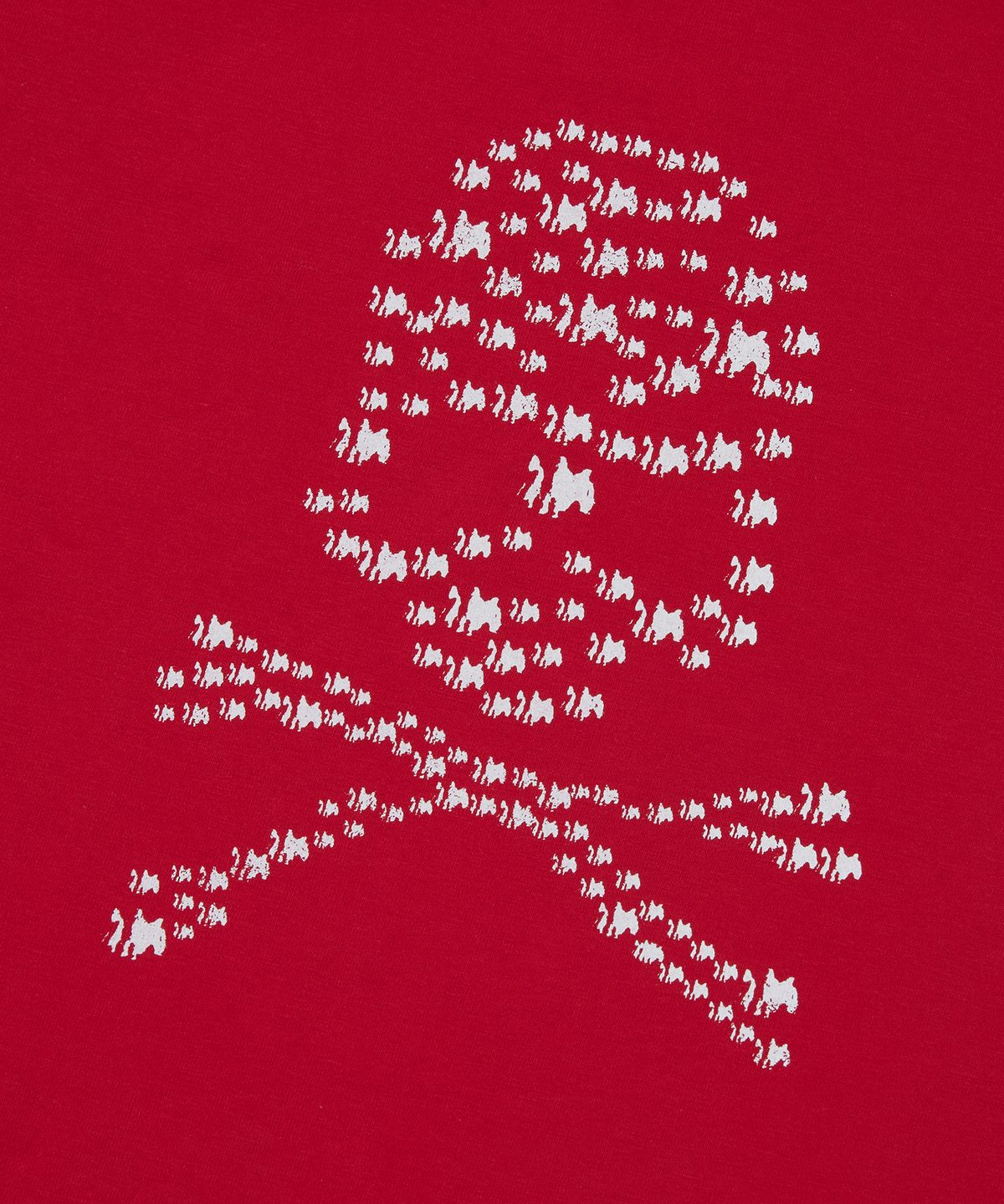 스웨이드(SUADE) ALBINO SKULL CROP TEE [RED]