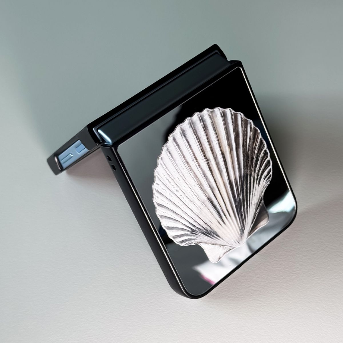 메모리즈바운더리(MEMORIESBOUNDARY) NTA Silverborn Scalla Bumper Mirror Phone Case (Z Flip)