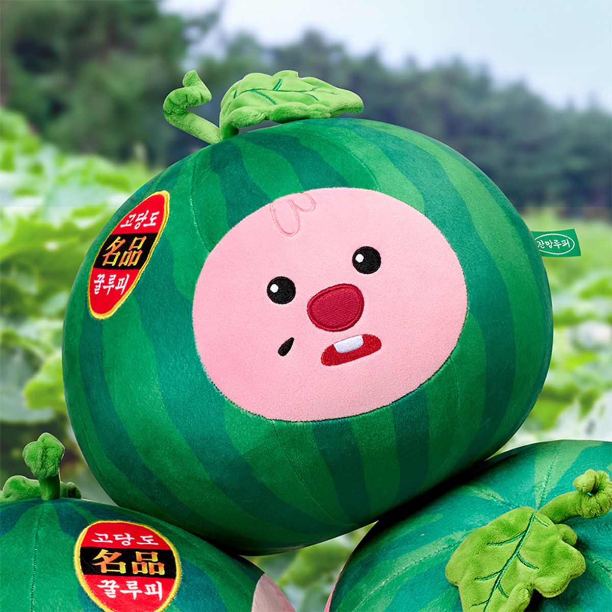잔망루피(ZANMANGLOOPY) 잔망루피 촌캉스 수박 인형 쿠션
